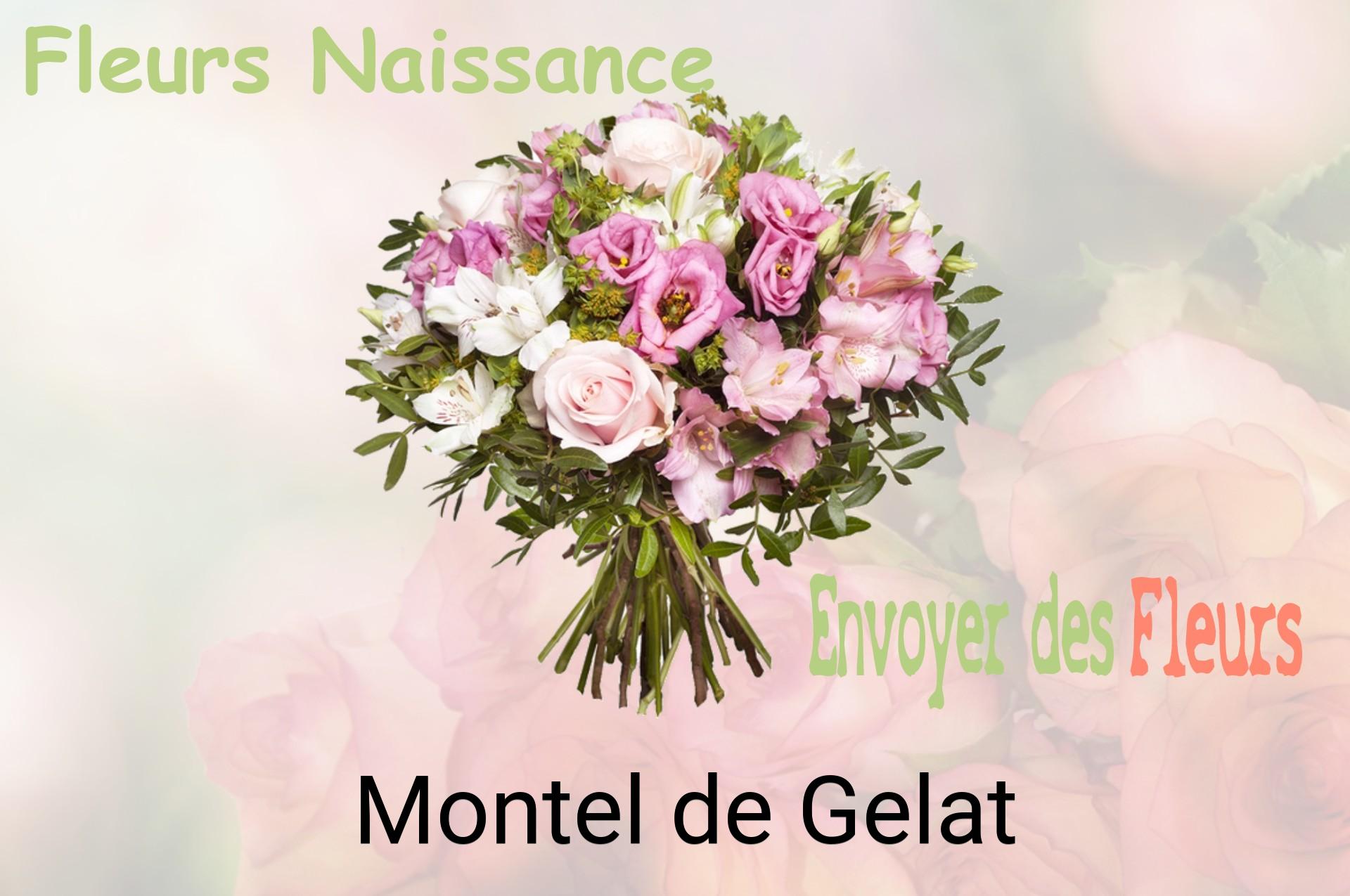 Bouquet de fleurs de naissance livré à Montel-de-Gelat